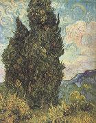 Vincent Van Gogh Cypresses (nn04) Germany oil painting reproduction